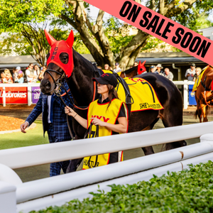 horse in doomben mounting yard
